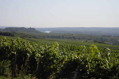 Schloss Johannisberg