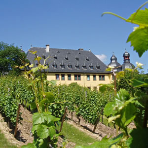 Schloss Vollrads